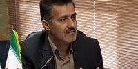 واردات دام ارز دولتی میگیرد